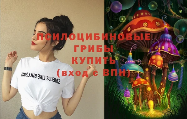 бутират Майский