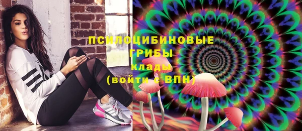 не бодяженный Алексин